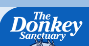 the Donkey Sanctuary