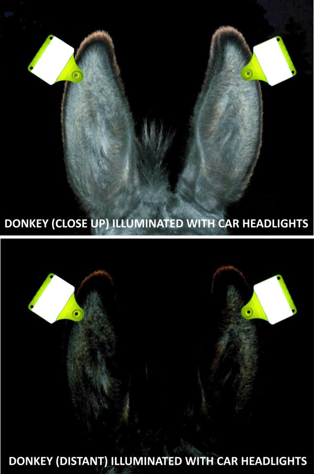Fluorescerende oormerken